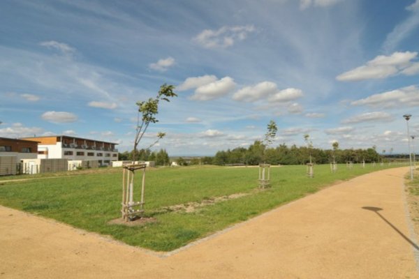 jsp-consult-park-oresin-bustehrad1.jpg