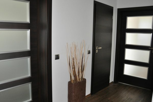 sapeli-11737.jpg